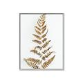 Picture of Dried Fern Leaf  _GroupedProduct_Rectangle_Portrait_Photography _GroupedProduct_Rectangle_Portrait_Canvas_Framed_