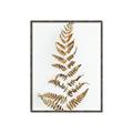 Picture of Dried Fern Leaf  _GroupedProduct_Rectangle_Portrait_Photography _GroupedProduct_Rectangle_Portrait_Canvas_Framed_