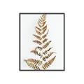Picture of Dried Fern Leaf  _GroupedProduct_Rectangle_Portrait_Photography _GroupedProduct_Rectangle_Portrait_Canvas_Framed_