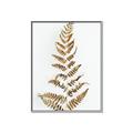 Picture of Dried Fern Leaf  _GroupedProduct_Rectangle_Portrait_Photography _GroupedProduct_Rectangle_Portrait_Canvas_Framed_