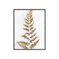 Picture of Dried Fern Leaf  _GroupedProduct_Rectangle_Portrait_Photography _GroupedProduct_Rectangle_Portrait_Canvas_Framed_
