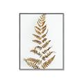 Picture of Dried Fern Leaf  _GroupedProduct_Rectangle_Portrait_Photography _GroupedProduct_Rectangle_Portrait_Canvas_Framed_