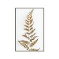 Picture of Dried Fern Leaf  _GroupedProduct_Rectangle_Portrait_Photography _GroupedProduct_Rectangle_Portrait_Canvas_Framed_