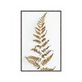 Picture of Dried Fern Leaf  _GroupedProduct_Rectangle_Portrait_Photography _GroupedProduct_Rectangle_Portrait_Canvas_Framed_