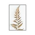 Picture of Dried Fern Leaf  _GroupedProduct_Rectangle_Portrait_Photography _GroupedProduct_Rectangle_Portrait_Canvas_Framed_