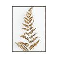 Picture of Dried Fern Leaf  _GroupedProduct_Rectangle_Portrait_Photography _GroupedProduct_Rectangle_Portrait_Canvas_Framed_