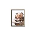 Picture of Dried Flower I  _GroupedProduct_Rectangle_Portrait_Photography _GroupedProduct_Rectangle_Portrait_Canvas_Framed_