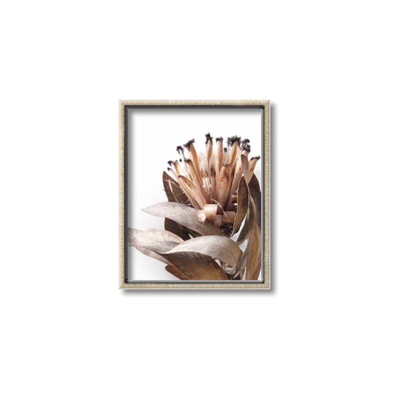 Picture of Dried Flower I  _GroupedProduct_Rectangle_Portrait_Photography _GroupedProduct_Rectangle_Portrait_Canvas_Framed_