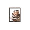 Picture of Dried Flower I  _GroupedProduct_Rectangle_Portrait_Photography _GroupedProduct_Rectangle_Portrait_Canvas_Framed_