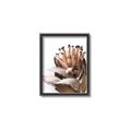 Picture of Dried Flower I  _GroupedProduct_Rectangle_Portrait_Photography _GroupedProduct_Rectangle_Portrait_Canvas_Framed_