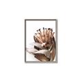 Picture of Dried Flower I  _GroupedProduct_Rectangle_Portrait_Photography _GroupedProduct_Rectangle_Portrait_Canvas_Framed_