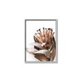 Picture of Dried Flower I  _GroupedProduct_Rectangle_Portrait_Photography _GroupedProduct_Rectangle_Portrait_Canvas_Framed_
