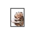 Picture of Dried Flower I  _GroupedProduct_Rectangle_Portrait_Photography _GroupedProduct_Rectangle_Portrait_Canvas_Framed_