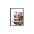 Picture of Dried Flower I  _GroupedProduct_Rectangle_Portrait_Photography _GroupedProduct_Rectangle_Portrait_Canvas_Framed_