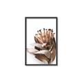 Picture of Dried Flower I  _GroupedProduct_Rectangle_Portrait_Photography _GroupedProduct_Rectangle_Portrait_Canvas_Framed_