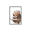Picture of Dried Flower I  _GroupedProduct_Rectangle_Portrait_Photography _GroupedProduct_Rectangle_Portrait_Canvas_Framed_