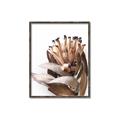 Picture of Dried Flower I  _GroupedProduct_Rectangle_Portrait_Photography _GroupedProduct_Rectangle_Portrait_Canvas_Framed_