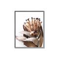 Picture of Dried Flower I  _GroupedProduct_Rectangle_Portrait_Photography _GroupedProduct_Rectangle_Portrait_Canvas_Framed_