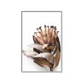 Picture of Dried Flower I  _GroupedProduct_Rectangle_Portrait_Photography _GroupedProduct_Rectangle_Portrait_Canvas_Framed_