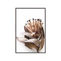 Picture of Dried Flower I  _GroupedProduct_Rectangle_Portrait_Photography _GroupedProduct_Rectangle_Portrait_Canvas_Framed_