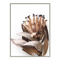 Picture of Dried Flower I  _GroupedProduct_Rectangle_Portrait_Photography _GroupedProduct_Rectangle_Portrait_Canvas_Framed_