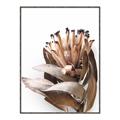 Picture of Dried Flower I  _GroupedProduct_Rectangle_Portrait_Photography _GroupedProduct_Rectangle_Portrait_Canvas_Framed_
