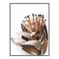 Picture of Dried Flower I  _GroupedProduct_Rectangle_Portrait_Photography _GroupedProduct_Rectangle_Portrait_Canvas_Framed_