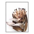 Picture of Dried Flower I  _GroupedProduct_Rectangle_Portrait_Photography _GroupedProduct_Rectangle_Portrait_Canvas_Framed_