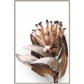 Picture of Dried Flower I  _GroupedProduct_Rectangle_Portrait_Photography _GroupedProduct_Rectangle_Portrait_Canvas_Framed_