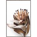 Picture of Dried Flower I  _GroupedProduct_Rectangle_Portrait_Photography _GroupedProduct_Rectangle_Portrait_Canvas_Framed_