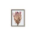 Picture of Dried Flower II _GroupedProduct_Rectangle_Portrait_Photography _GroupedProduct_Rectangle_Portrait_Canvas_Framed_