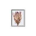 Picture of Dried Flower II _GroupedProduct_Rectangle_Portrait_Photography _GroupedProduct_Rectangle_Portrait_Canvas_Framed_