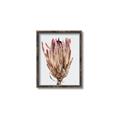 Picture of Dried Flower II _GroupedProduct_Rectangle_Portrait_Photography _GroupedProduct_Rectangle_Portrait_Canvas_Framed_