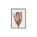 Picture of Dried Flower II _GroupedProduct_Rectangle_Portrait_Photography _GroupedProduct_Rectangle_Portrait_Canvas_Framed_