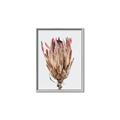 Picture of Dried Flower II _GroupedProduct_Rectangle_Portrait_Photography _GroupedProduct_Rectangle_Portrait_Canvas_Framed_