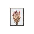 Picture of Dried Flower II _GroupedProduct_Rectangle_Portrait_Photography _GroupedProduct_Rectangle_Portrait_Canvas_Framed_