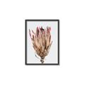 Picture of Dried Flower II _GroupedProduct_Rectangle_Portrait_Photography _GroupedProduct_Rectangle_Portrait_Canvas_Framed_