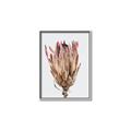 Picture of Dried Flower II _GroupedProduct_Rectangle_Portrait_Photography _GroupedProduct_Rectangle_Portrait_Canvas_Framed_