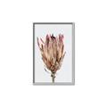 Picture of Dried Flower II _GroupedProduct_Rectangle_Portrait_Photography _GroupedProduct_Rectangle_Portrait_Canvas_Framed_