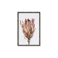 Picture of Dried Flower II _GroupedProduct_Rectangle_Portrait_Photography _GroupedProduct_Rectangle_Portrait_Canvas_Framed_