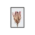 Picture of Dried Flower II _GroupedProduct_Rectangle_Portrait_Photography _GroupedProduct_Rectangle_Portrait_Canvas_Framed_