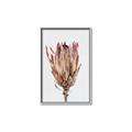Picture of Dried Flower II _GroupedProduct_Rectangle_Portrait_Photography _GroupedProduct_Rectangle_Portrait_Canvas_Framed_