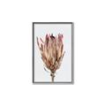 Picture of Dried Flower II _GroupedProduct_Rectangle_Portrait_Photography _GroupedProduct_Rectangle_Portrait_Canvas_Framed_