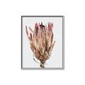 Picture of Dried Flower II _GroupedProduct_Rectangle_Portrait_Photography _GroupedProduct_Rectangle_Portrait_Canvas_Framed_