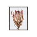 Picture of Dried Flower II _GroupedProduct_Rectangle_Portrait_Photography _GroupedProduct_Rectangle_Portrait_Canvas_Framed_