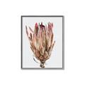 Picture of Dried Flower II _GroupedProduct_Rectangle_Portrait_Photography _GroupedProduct_Rectangle_Portrait_Canvas_Framed_