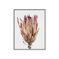 Picture of Dried Flower II _GroupedProduct_Rectangle_Portrait_Photography _GroupedProduct_Rectangle_Portrait_Canvas_Framed_