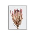 Picture of Dried Flower II _GroupedProduct_Rectangle_Portrait_Photography _GroupedProduct_Rectangle_Portrait_Canvas_Framed_
