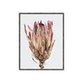 Picture of Dried Flower II _GroupedProduct_Rectangle_Portrait_Photography _GroupedProduct_Rectangle_Portrait_Canvas_Framed_