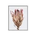 Picture of Dried Flower II _GroupedProduct_Rectangle_Portrait_Photography _GroupedProduct_Rectangle_Portrait_Canvas_Framed_